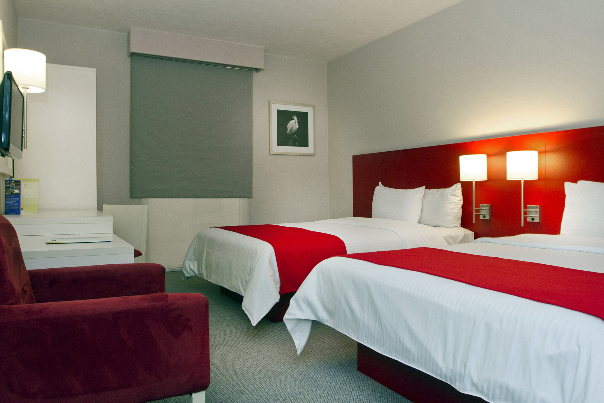 City Express Plus By Marriott Ciudad De Mexico Insurgentes Sur Exteriör bild